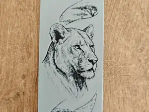 Lioness