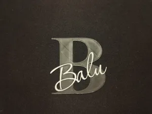 Door Name, Door Sign "Balu" – 2-Color, 6mm Thick