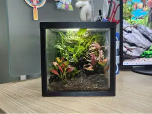 Terarium 12 x12 x12