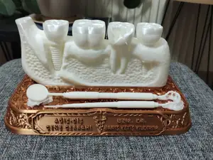 Diş Doktoru İsimlik