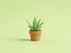 芦荟-微缩模型植物系列-儿童过家家涂色玩具