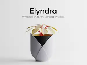 Elyndra – Wrapped in form. Defined by color.