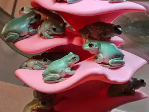 Mushroom Shelf (Suction Cup)
