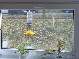 Window bird feeder for Cappy and Relax bottles