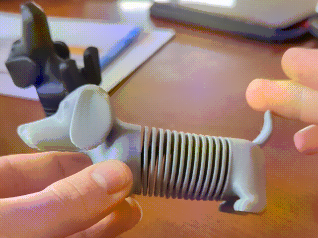 Sausage Dog Spring Toy