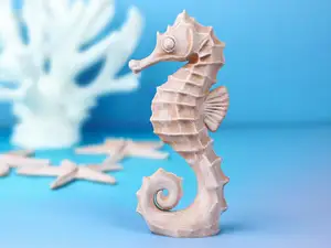 Seahorse