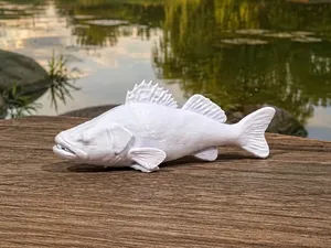 Zander - Pikeperch - Fish - Animal