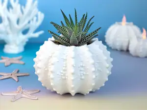 Sea Urchin Planter / Vase
