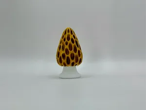 MOREL / Fly Agaric (Amanita muscaria) MUSHROOM