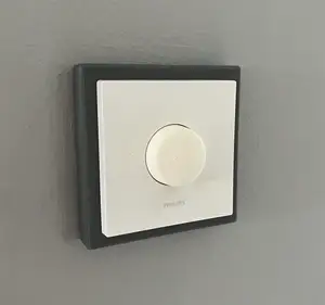 Philips Hue Button UK Switch Adapter/Converter
