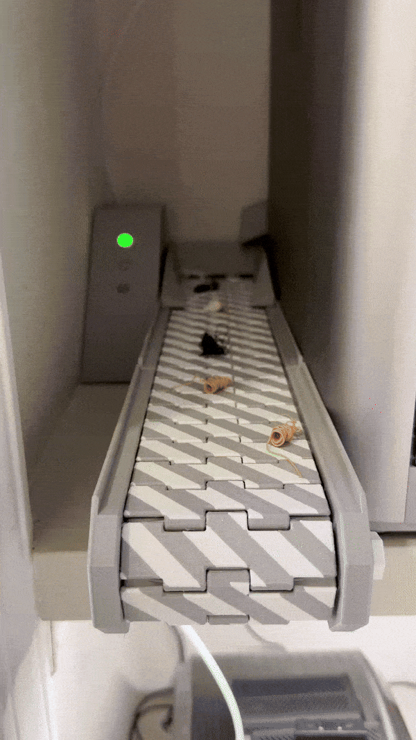 Bambu Poop Conveyor ESP32 Housing