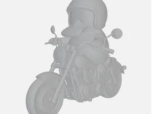 Psykokwack motard 