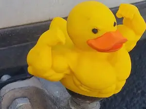 Gym Duck Tow Ball Cover, Hitch Ball Cover