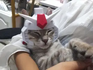 猫咪-高达版本简易头盔72mm内