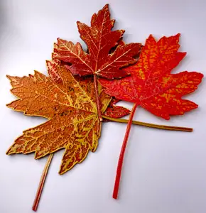 Fall Maple Leaves - HueForge