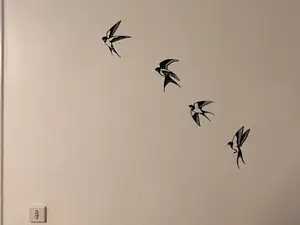 Wall Art - Birds