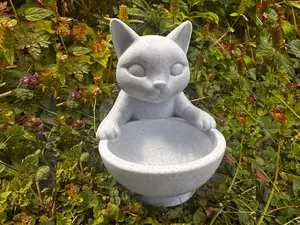 Wachsame Katze mit Schale