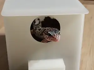 Wet hideout for Leopard Gecko