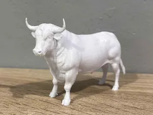 Bull - Animal