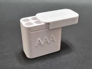 Travel AAA Battery Case / Battery Box Storage