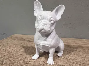 Sitting French Bulldog - Animal - Dog