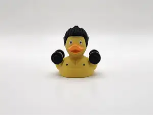 Fitness Duck