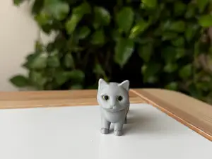 British cat