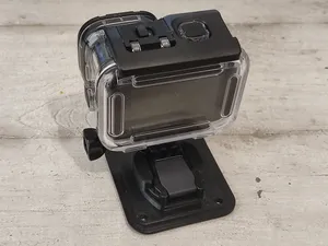 GoPro mount