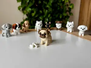 Pug