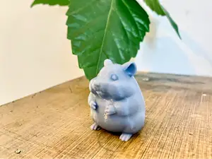 Chubby Hamster