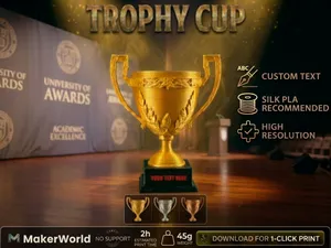 Trophy Cup Choose Gold SIlver Cooper. Custom text