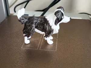 边牧/边境牧羊犬站姿,容易打印版,毛发分层容易上色