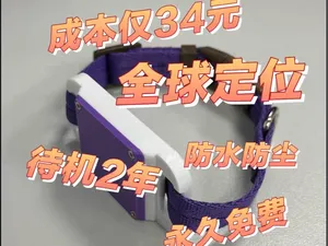 全球定位器