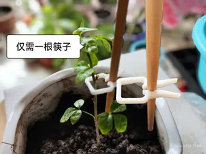 幼苗防倒伏支架夹,1.28克,十分钟极速打印,完美适配筷子高度与厚度