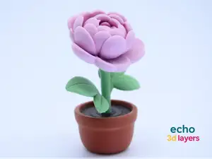 Potted Peony – Decorative