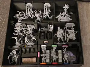 Nemesis Insert