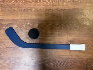 Knee Hockey Mini Stick & Puck Set - 16 Inch Stick!