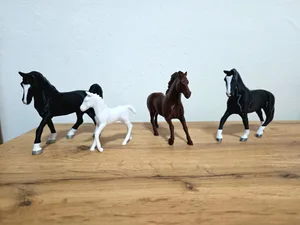 Horses