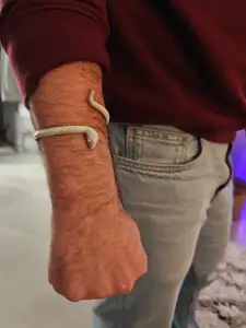 snake bracelet