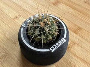 F1 Tyre Desk Planter