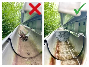 Rainwater recovery filter/filtre récupérteur d'eau
