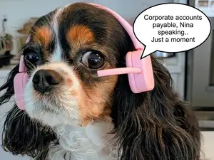 Pet Headset with Boom Mic