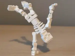 Skelly – The Gymnastic Articulated Skeleton