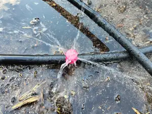 Garden Sprinkler with Interchangeable Nozzle