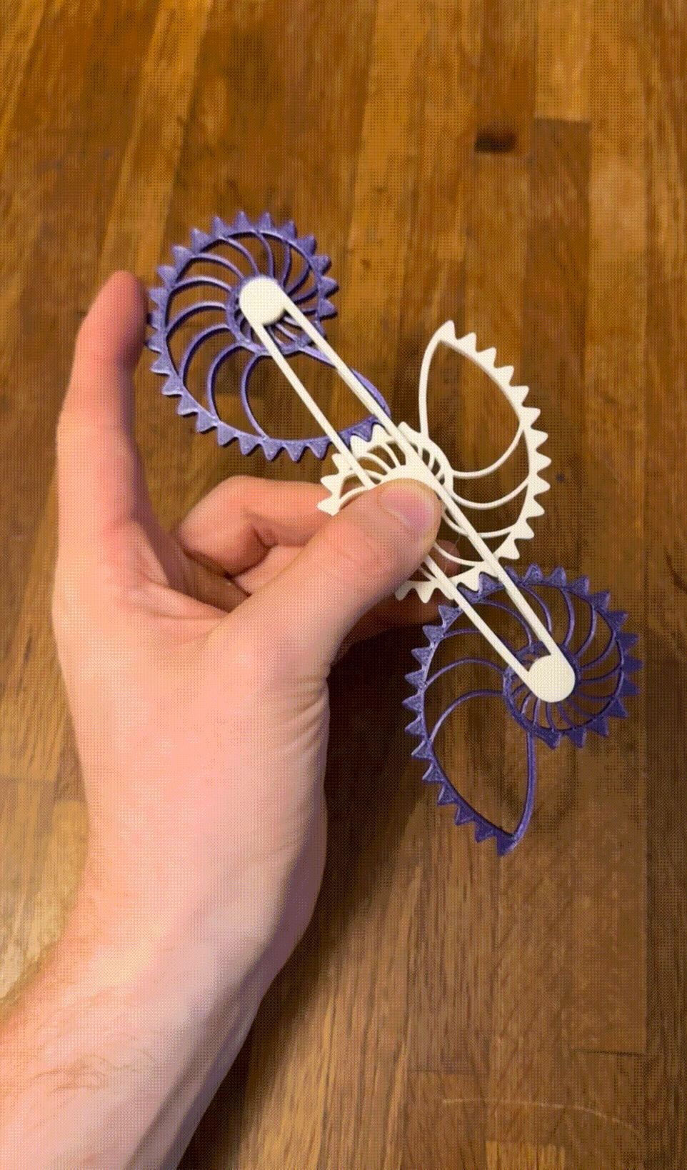 Triple Nautilus Gear Fidget