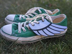 Shoe Wings