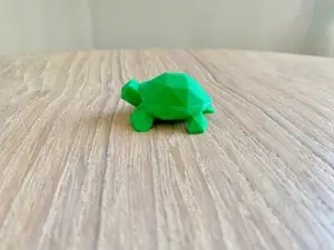 Cute Turtle