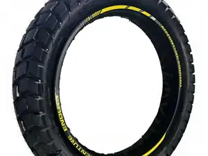 Gts1