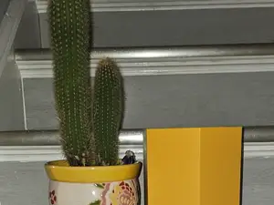 Hexagon Pot