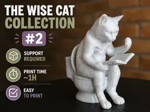 The wise cat on the toilet
